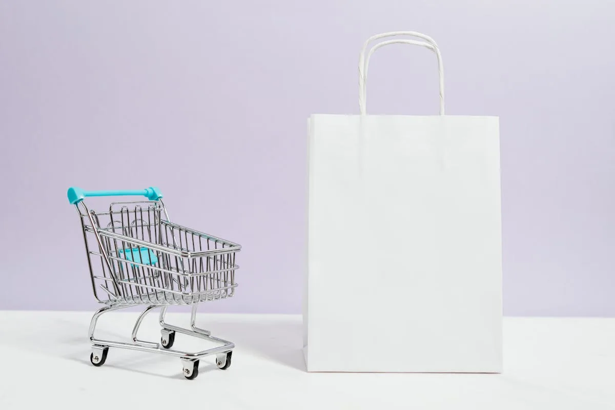 Flat lay of product packaging materials including boxes, labels, and inserts